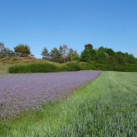 Апартаменты Beautiful In The Harz With Terrace *
