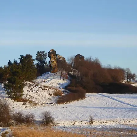 Beautiful In The Harz With Terrace Балленштедт
