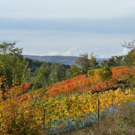 Beautiful In The Harz With Terrace Апартаменты