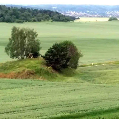 Beautiful In The Harz With Terrace *