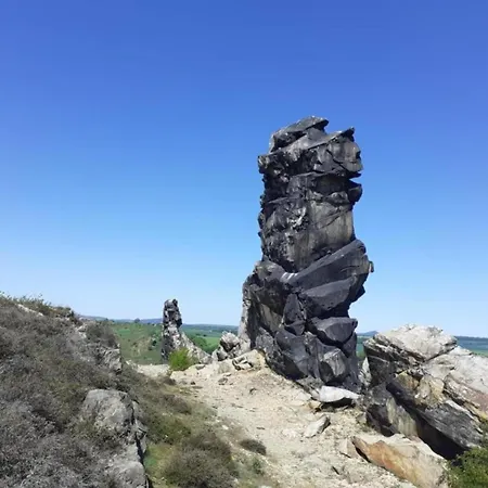 Beautiful In The Harz With Terrace Апартаменты