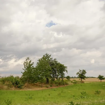 公寓 Cozy Retreat In 巴伦施泰特