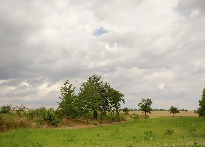 公寓 Cozy Retreat In 巴伦施泰特